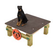 Giochi per cani
