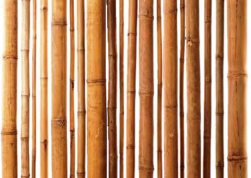 Profili in legno Bamboo