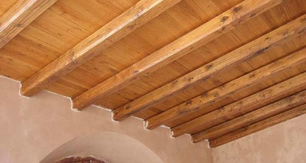 Castagno Di Castagna, Commestibile, Di Legno Di Colore Grigio Immagine  Stock - Immagine di piano, guarnizione: 172508025