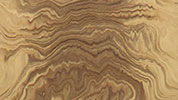 Radica di Olivo tranciato di legno precomposto  in vendita online da mybricoshop 