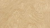 Radica di Mirto tranciato di legno precomposto in vendita online da Mybricoshop