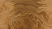 Radica di Olmo  tranciato di legno precomposto in vendita online da Mybricoshop