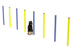 gioco slalom per cani in vendita online da Mybricoshop