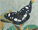 Quadro puzzle ad intarsio in legno Farfalla di giorno in vendita online da Mybricoshop