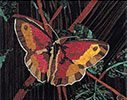 Quadro puzzle ad intarsio in legno Farfalla di notte in vendita online da Mybricoshop