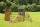 Parco giochi Fantasilandia 2 con torretta e scivolo Blue Rabbit certificato TUV