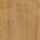 Pannelli laminato F6721Topline woods in vendita online da Mybricoshop