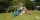 Torretta gioco con scivolo e  altalena Penthouse Swing Blue Rabbit in vendita online da Mybricoshop