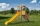 torretta parco giochi Winx per uso pubblico per parchi ristoranti asili e centri ricreativi